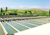 احداث بزرگ‌ترین مزرعه پرورش  ماهی اردبیل در مشگین شهر