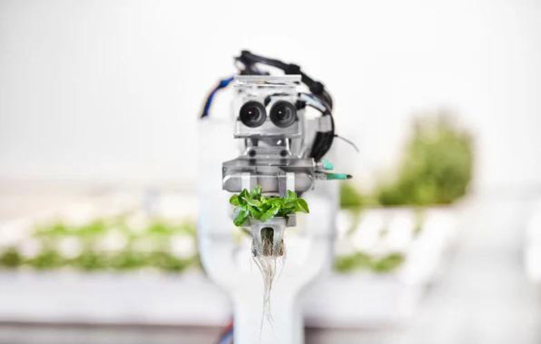 ربات‌ها سبزیجات می‌کارند + (عکس)