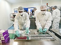 تولید داروی ضدسرطان در تبریز